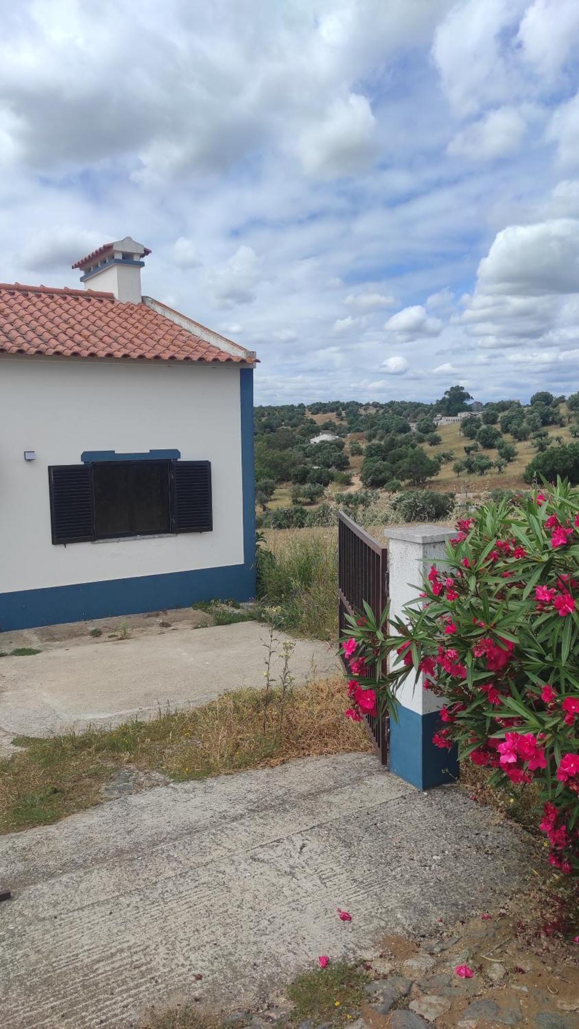 Nova Quinta Moderna Torramo Em Oliveiras, Campo De Laranjas, Na Nacional 2, Alentejo 13750 M2 Villa Torrão Buitenkant foto
